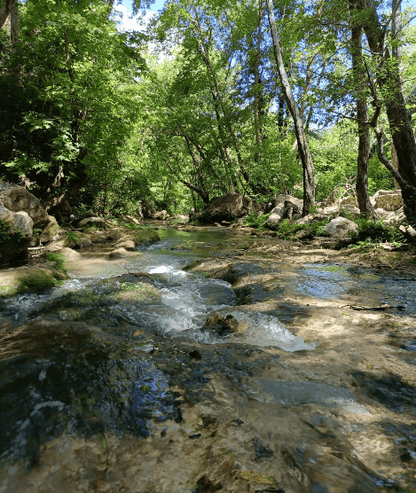 Desde Beirut: visita guiada a las cascadas de Zarka, el castillo de Moussa y Deir El Amar