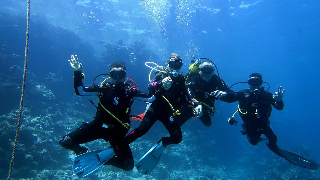 Sharm El Sheikh: Ras Mohammed og White Island snorkling båtutflukt med valgfri dykking