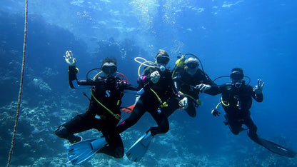 Sharm El Sheikh: Ras Mohammed og White Island snorkling båtutflukt med valgfri dykking