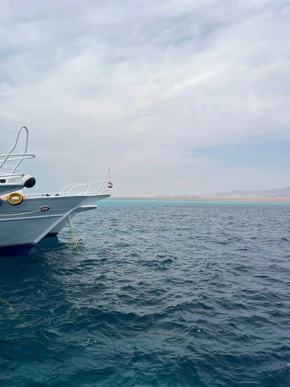Sharm El Sheikh: Ras Mohammed og White Island snorkling båtutflukt med valgfri dykking