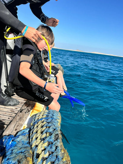Sharm El Sheikh: Ras Mohammed og White Island snorkling båtutflukt med valgfri dykking