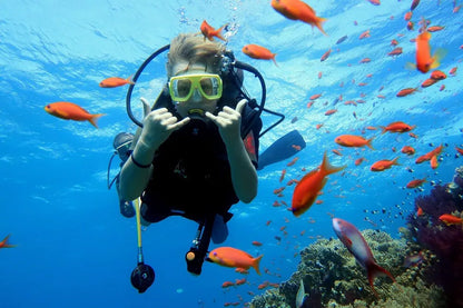 Sharm El Sheikh: Ras Mohammed og White Island snorkling båtutflukt med valgfri dykking