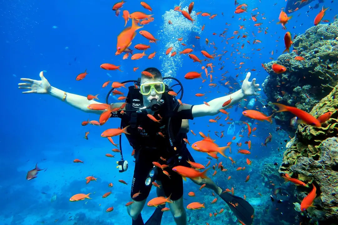 Sharm El Sheikh: Ras Mohammed og White Island snorkling båtutflukt med valgfri dykking