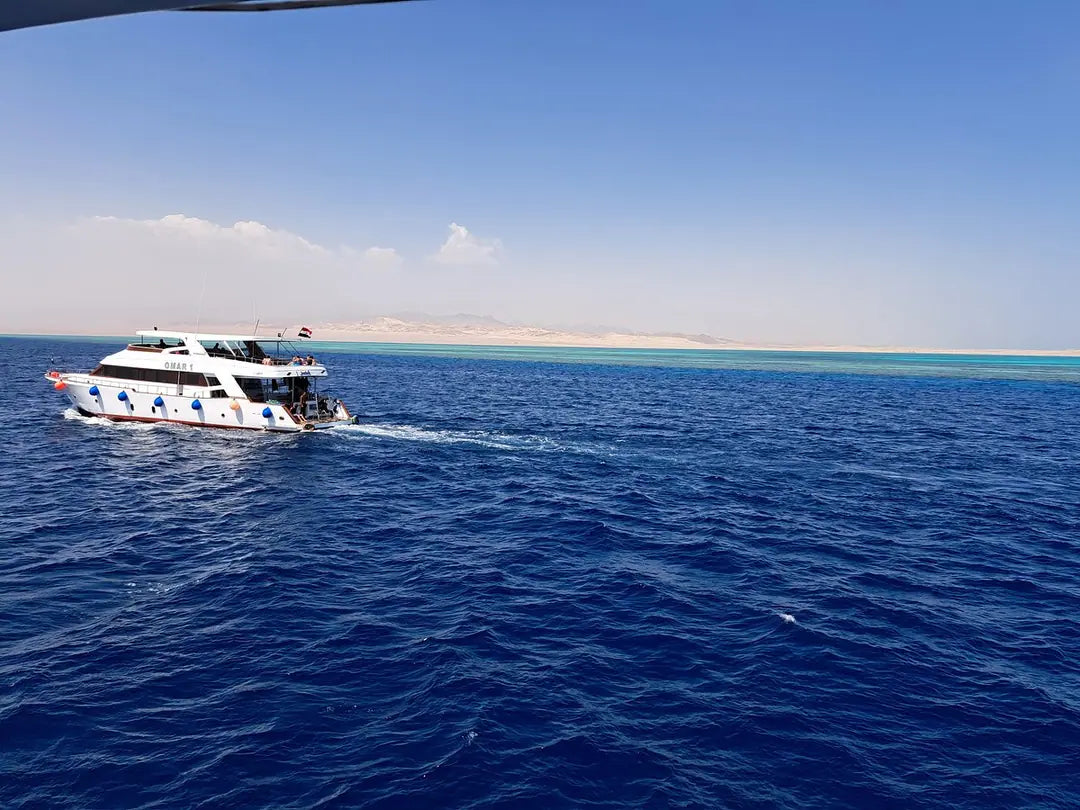 Sharm El Sheikh: Ras Mohammed og White Island snorkling båtutflukt med valgfri dykking