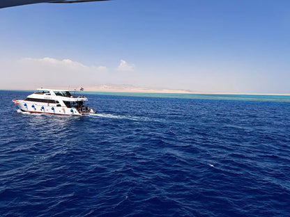 Sharm El Sheikh: Ras Mohammed og White Island snorkling båtutflukt med valgfri dykking