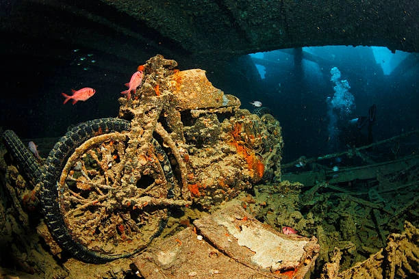 샤름 엘 셰이크: SS Thistlegorm 제2차 세계대전 난파선 다이빙 여행