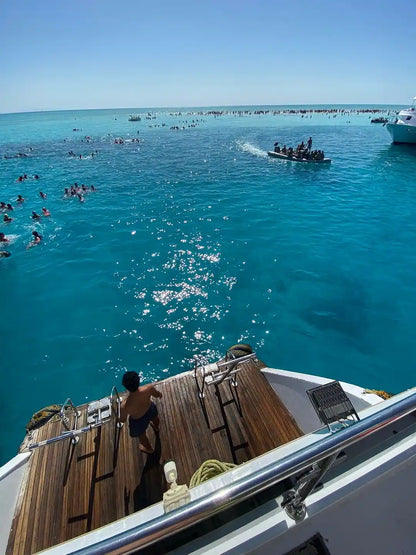 Charm el-Cheikh : excursion en bateau au parc national de Ras Mohammed et à l’Île Blanche