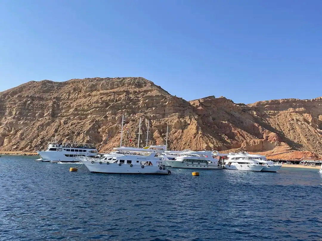Charm el-Cheikh : excursion en bateau au parc national de Ras Mohammed et à l’Île Blanche