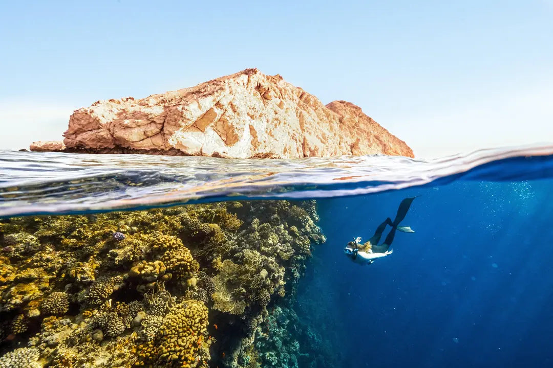 Sharm El Sheikh: escursione in barca di un'intera giornata per fare snorkeling nel Mar Rosso con pranzo