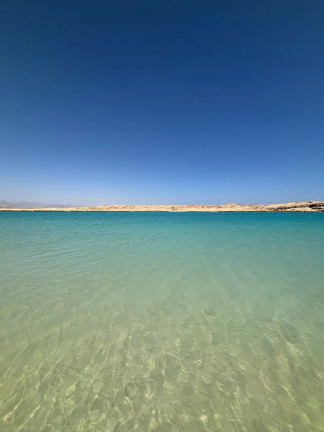 Sharm El Sheikh: Half Day Snorkeling Trip in Ras Muhammed Allah Gate