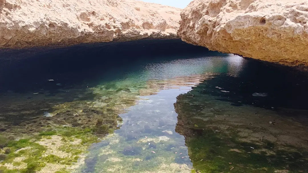 Sharm El Sheikh: Half Day Snorkeling Trip in Ras Muhammed Allah Gate