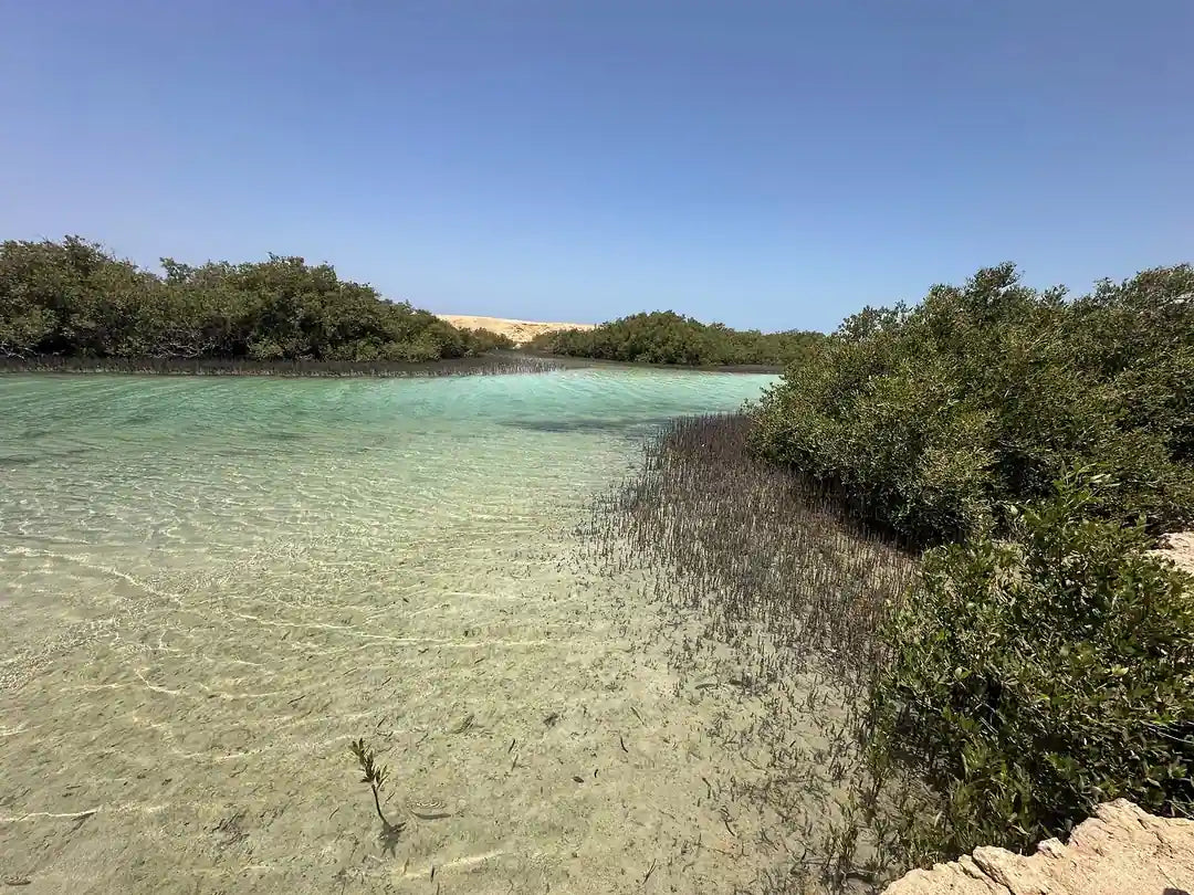 Sharm El Sheikh: Half Day Snorkeling Trip in Ras Muhammed Allah Gate