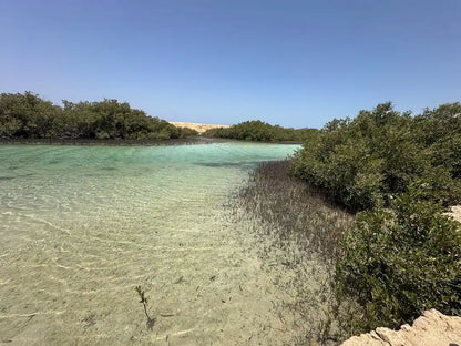 Sharm El Sheikh: Half Day Snorkeling Trip in Ras Muhammed Allah Gate