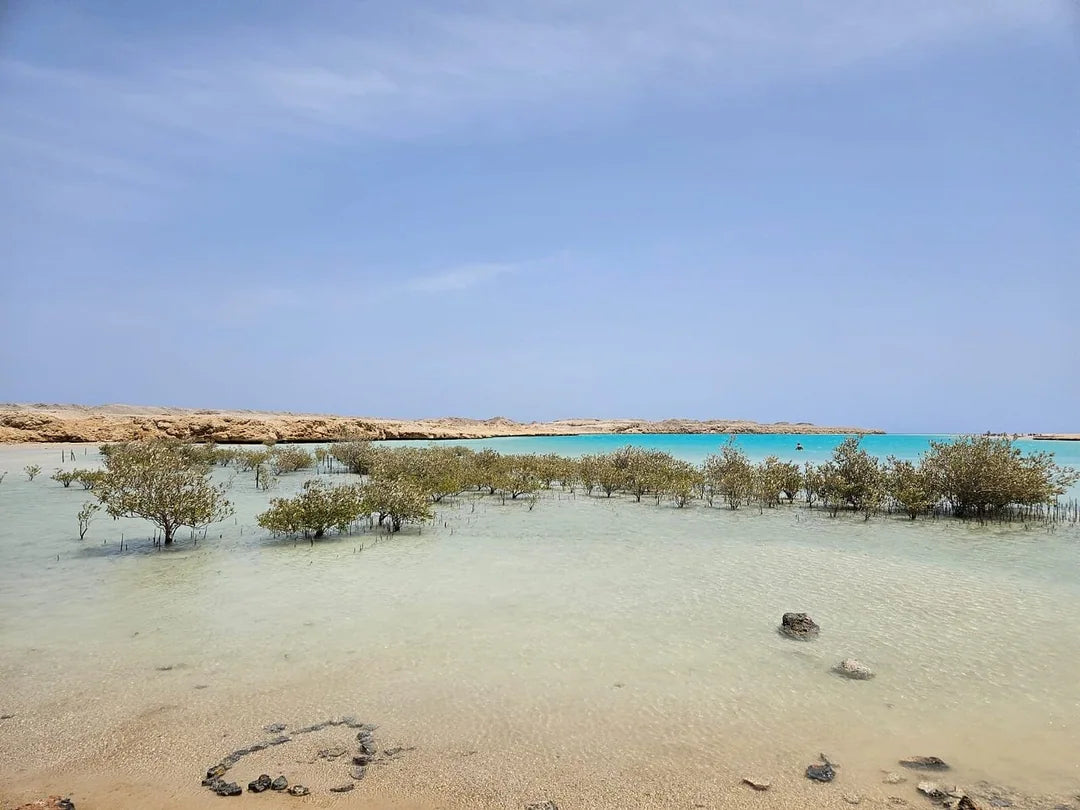 Sharm El Sheikh: Half Day Snorkeling Trip in Ras Muhammed Allah Gate