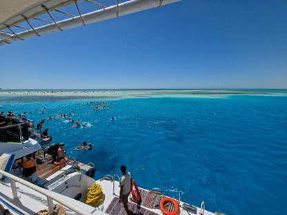 シャルム・エル・シェイク：高級ラス・モハメッドとホワイトアイランドのシュノーケリングボートツアー
