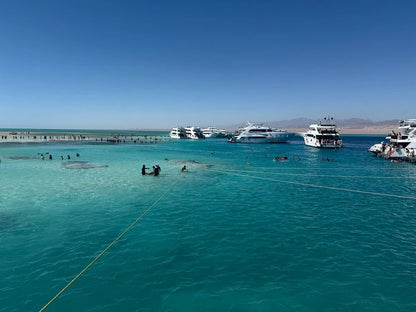 シャルム・エル・シェイク：高級ラス・モハメッドとホワイトアイランドのシュノーケリングボートツアー