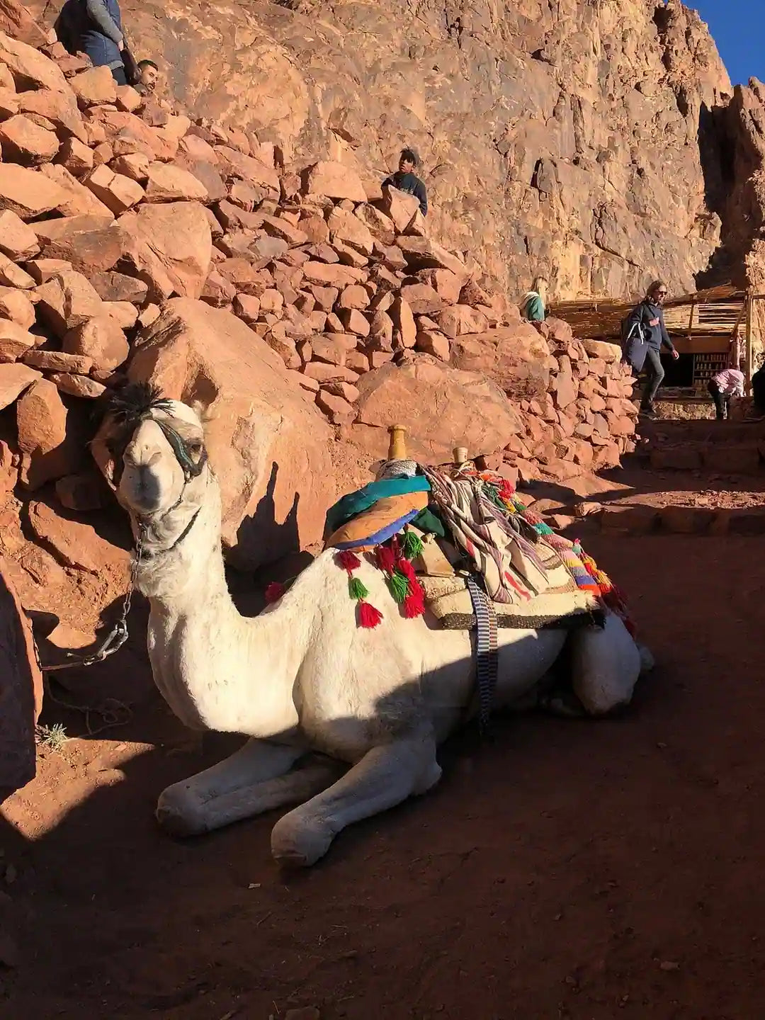 Sharm El Sheikh: senderismo al amanecer en el Monte Moisés y tour al Monasterio de Santa Catalina