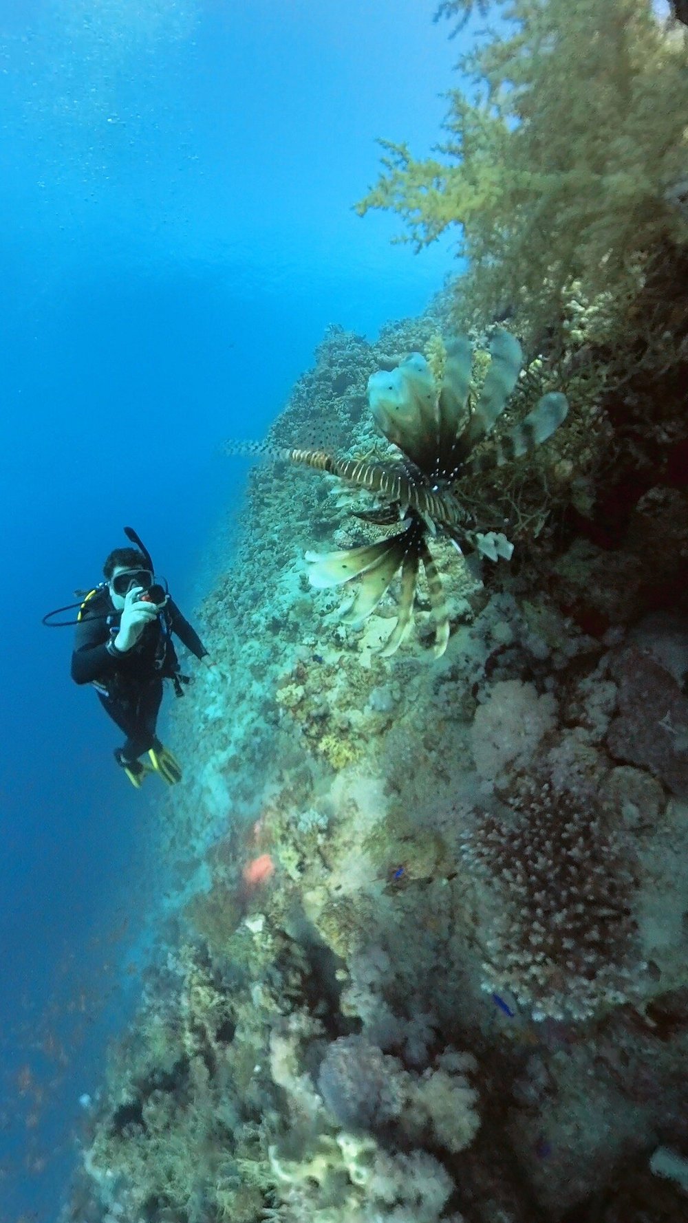Sharm El Sheikh: Over Night Diving and Snorkeling Trip for Advanced Divers