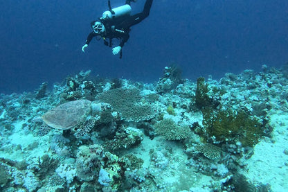 Sharm El Sheikh: Over Night Diving and Snorkeling Trip for Advanced Divers