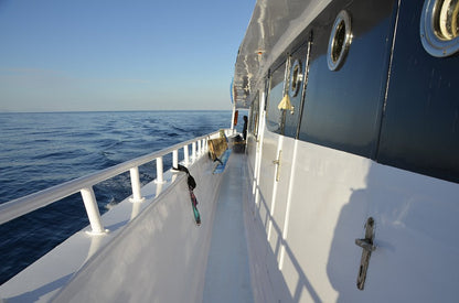 Sharm El Sheikh: Over Night Diving and Snorkeling Trip for Advanced Divers