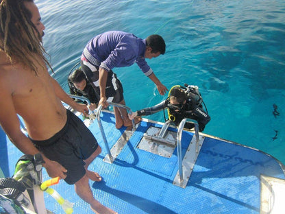 Sharm El Sheikh: Over Night Diving and Snorkeling Trip for Advanced Divers
