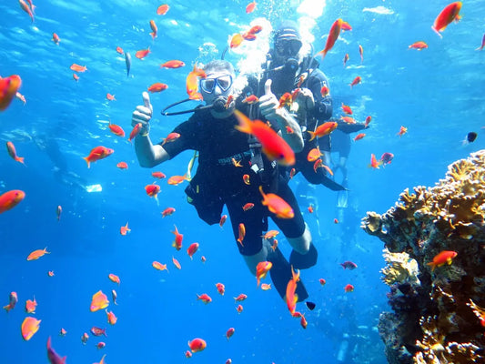 Sharm El Sheikh: PADI Dykking Grunnkurs