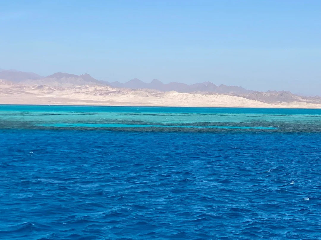 Sharm El Sheikh: Ras Mohammed ve White Island’a Korsan Teknesiyle Şnorkelle Dalış Turu