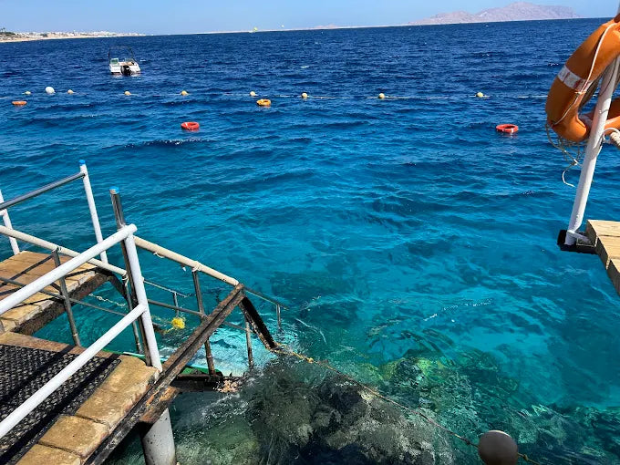 Sharm El Sheikh: Privat båttur til Ras Mohammed