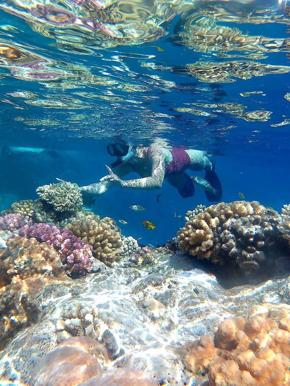 Sharm El Sheikh: Privat båttur til Ras Mohammed