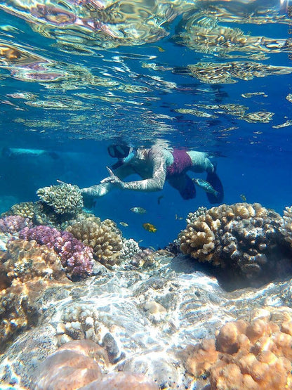 Sharm El Sheikh: Privat båttur til Ras Mohammed