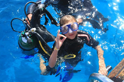 Charm el-Cheikh : excursion VIP de snorkeling et de plongée au parc national de Ras Mohammed