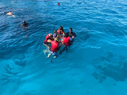 Charm el-Cheikh : excursion VIP de snorkeling et de plongée au parc national de Ras Mohammed