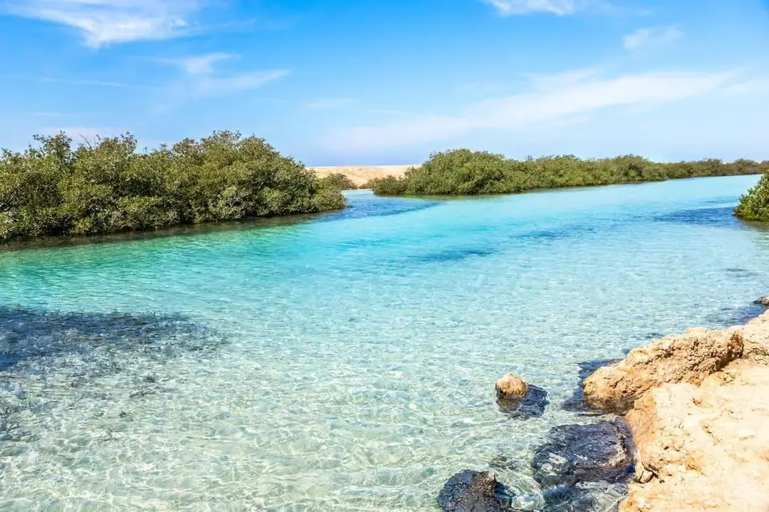 Sharm El Sheikh: tour di snorkeling di mezza giornata nel Parco Nazionale di Ras Mohammed