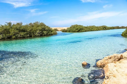 Sharm El Sheikh: tour di snorkeling di mezza giornata nel Parco Nazionale di Ras Mohammed