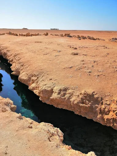 Sharm El Sheikh: tour di snorkeling di mezza giornata nel Parco Nazionale di Ras Mohammed