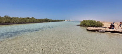 Sharm El Sheikh: tour di snorkeling di mezza giornata nel Parco Nazionale di Ras Mohammed