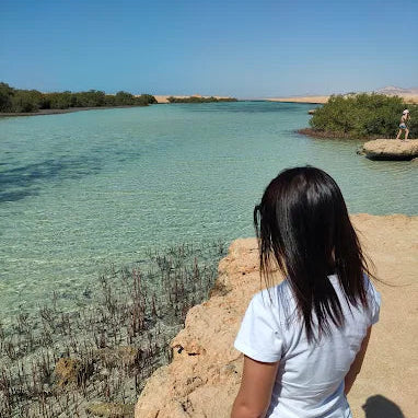Sharm El Sheikh: tour di snorkeling di mezza giornata nel Parco Nazionale di Ras Mohammed