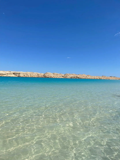 Sharm El Sheikh: tour di snorkeling di mezza giornata nel Parco Nazionale di Ras Mohammed