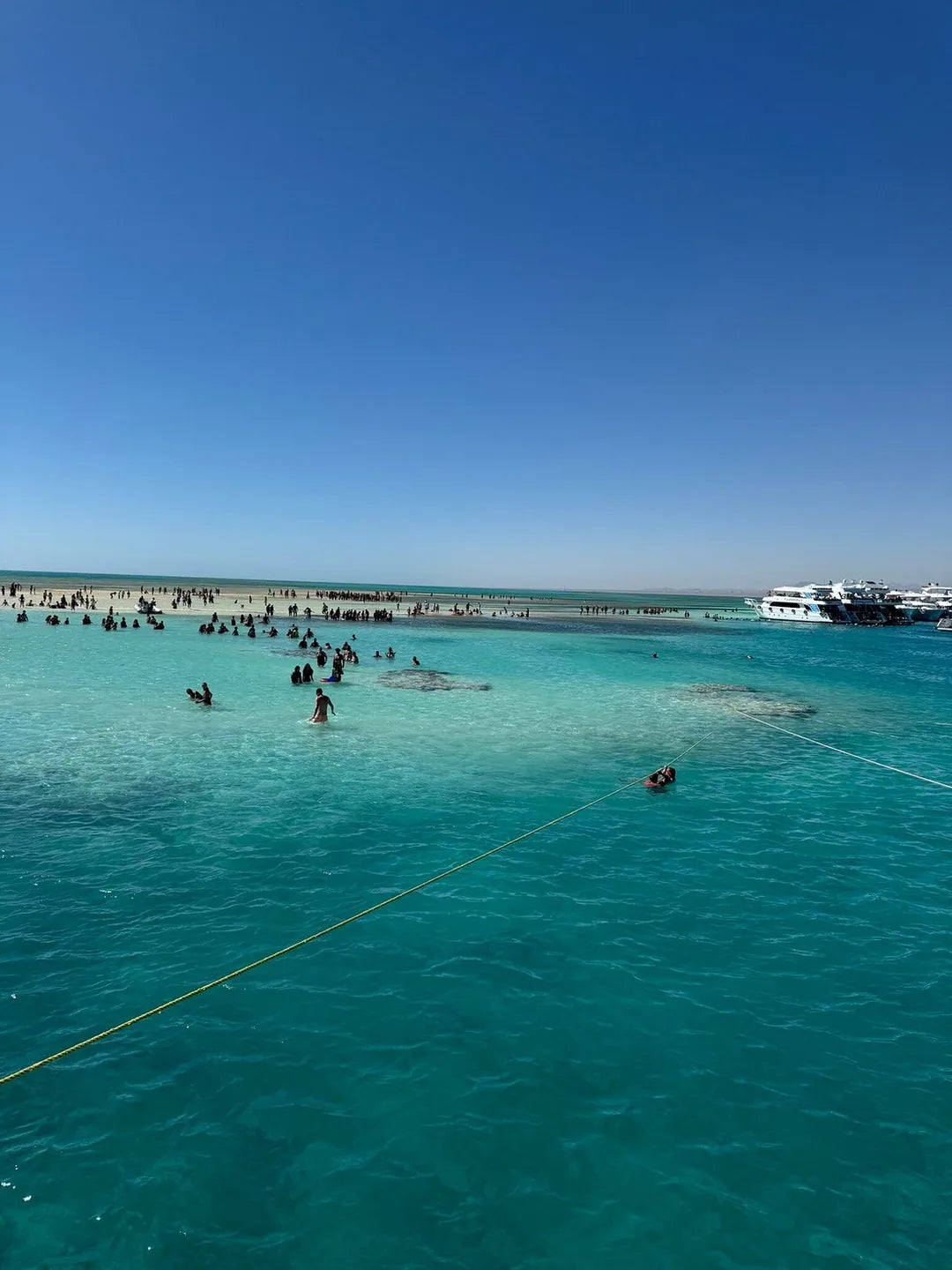 Sharm El Sheikh: crociera di snorkeling nel Parco Nazionale di Ras Mohammed e all’Isola Bianca