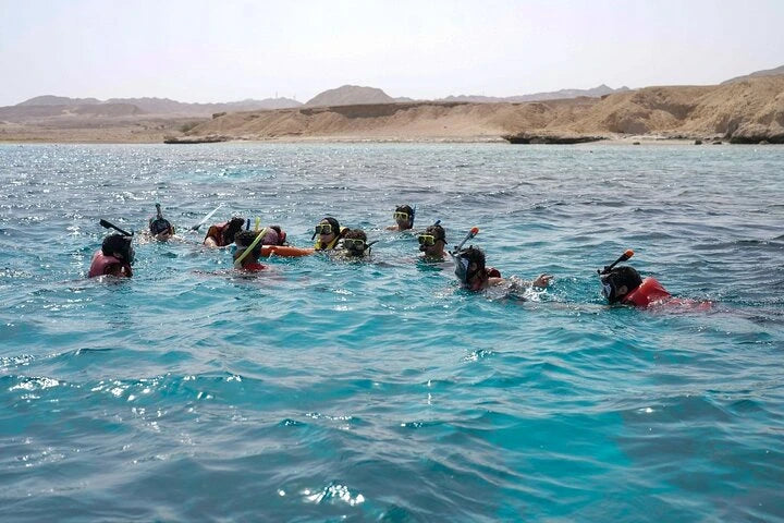 Sharm El Sheikh: Half Day Snorkeling Trip in Ras Muhammed Allah Gate