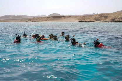 Sharm El Sheikh: Half Day Snorkeling Trip in Ras Muhammed Allah Gate