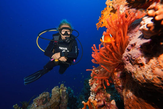 Sharm El Sheikh: Modowa przygoda nurkowa na Morzu Czerwonym dla wykwalifikowanych nurków