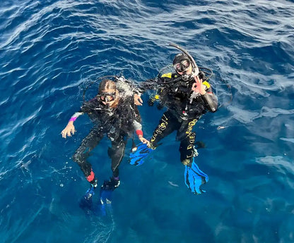 Sharm El Sheikh: Red Sea Fashion Diving Adventure for Qualified Divers