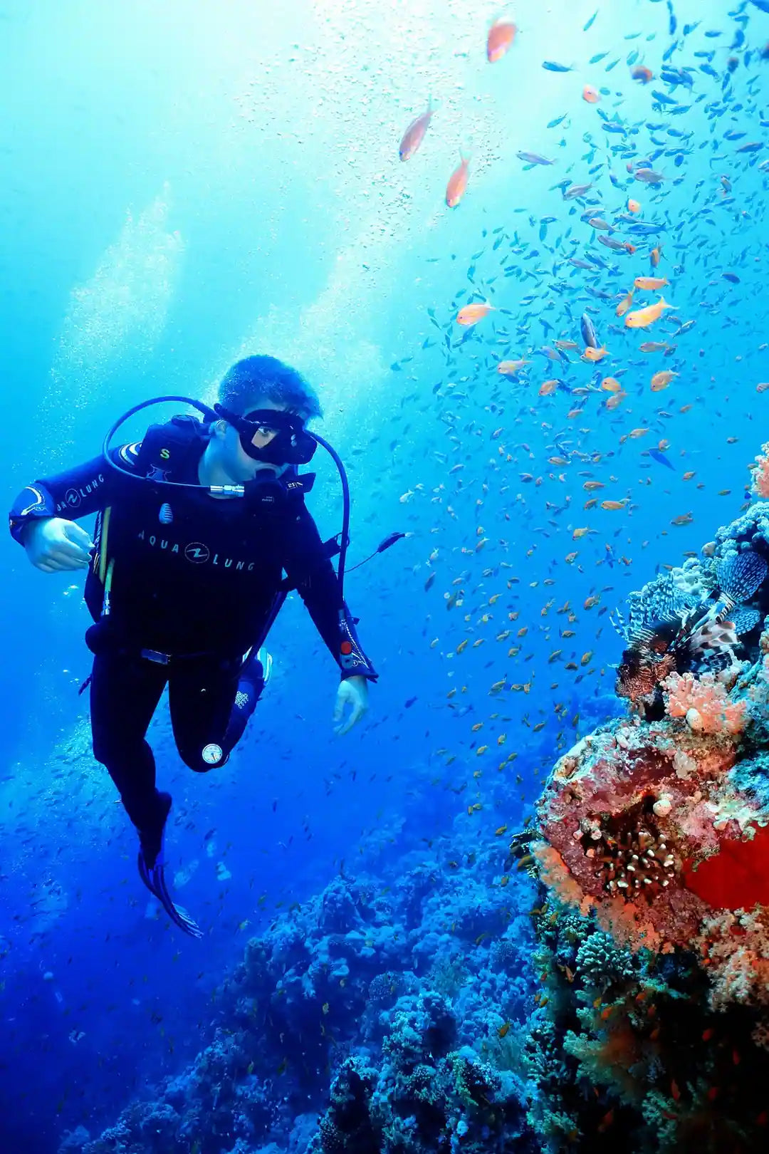 Sharm El Sheikh: Red Sea Fashion Diving Adventure for Qualified Divers