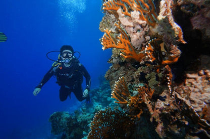 Sharm El Sheikh: Red Sea Fashion Diving Adventure for Qualified Divers