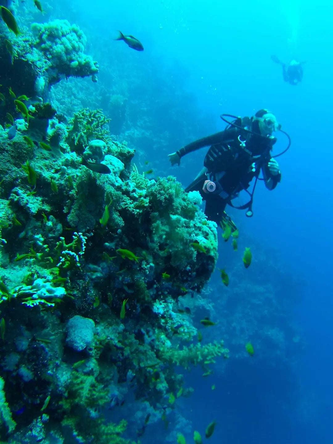 Sharm El Sheikh: Red Sea Fashion Diving Adventure for Qualified Divers