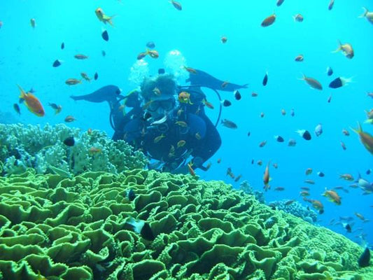 Sharm El Sheikh: Dykkekurs