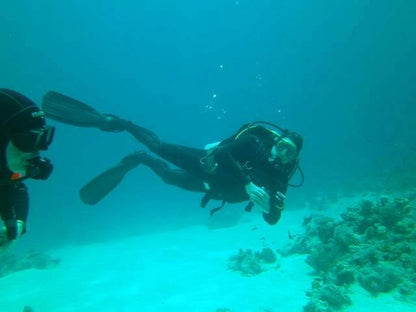 Sharm El Sheikh: Guided Shore Diving Experience in Sharks Bay