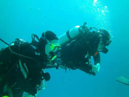 Sharm El Sheikh: Guided Shore Diving Experience in Sharks Bay