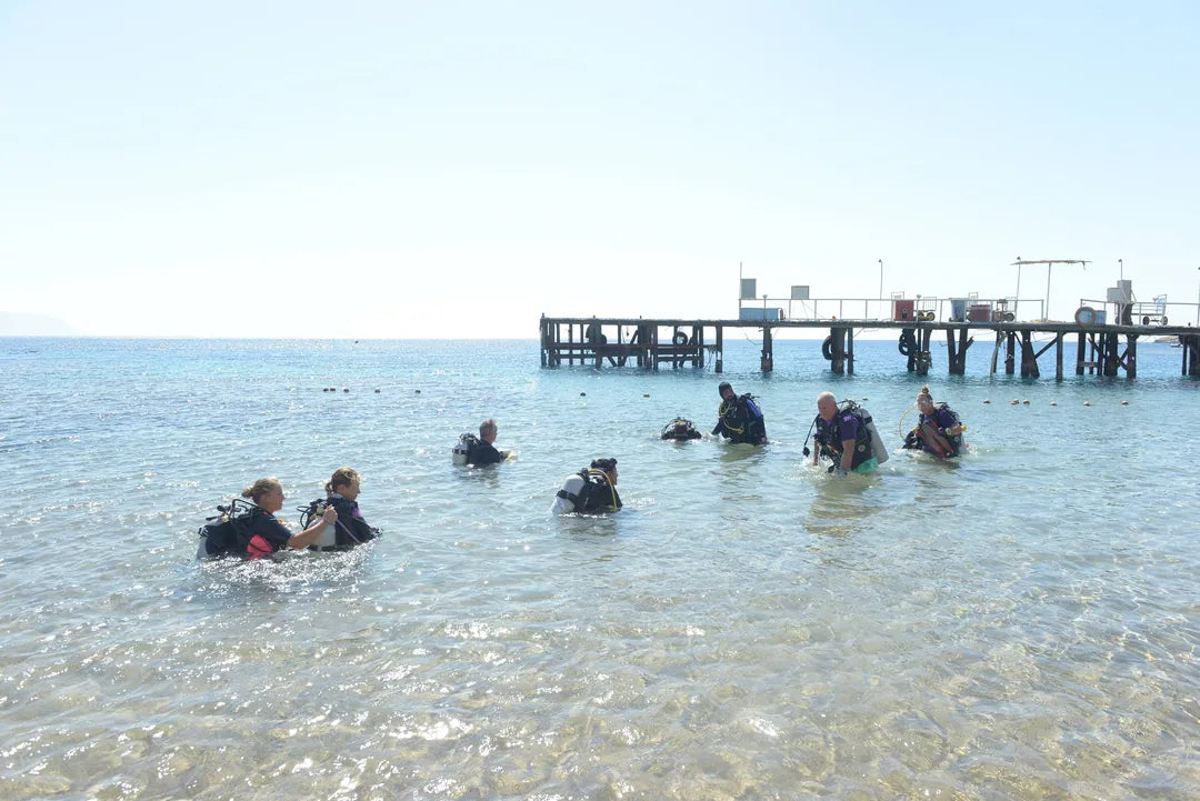 Sharm El Sheikh: Guided Shore Diving Experience in Sharks Bay